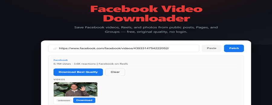Downloading a Facebook Reel with original audio on socialsaver.net